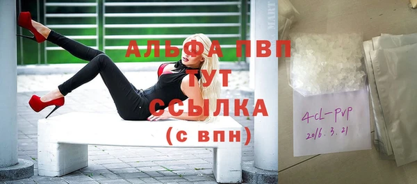молекула духа Пересвет