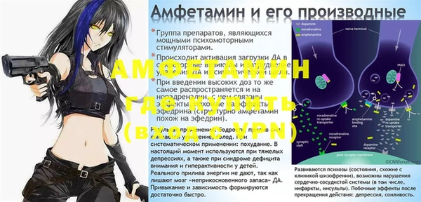 молекула духа Пересвет