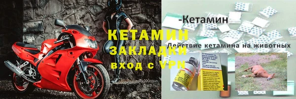 молекула духа Пересвет