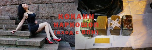 молекула духа Пересвет