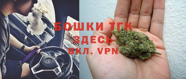 молекула духа Пересвет
