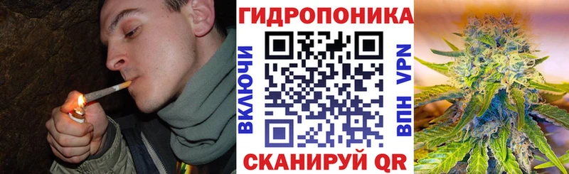 Шишки марихуана OG Kush  Купить закладки  Сольцы 